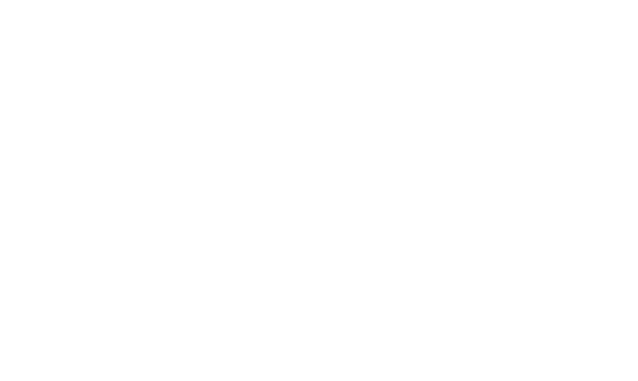 Elizabeth Leite 